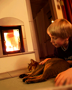 Junge streichelt Katze vor einem Ofen